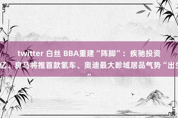 twitter 白丝 BBA重建“阵脚”：疾驰投资百亿、良马将推首款氢车、奥迪最大畛域居品气势“出生”