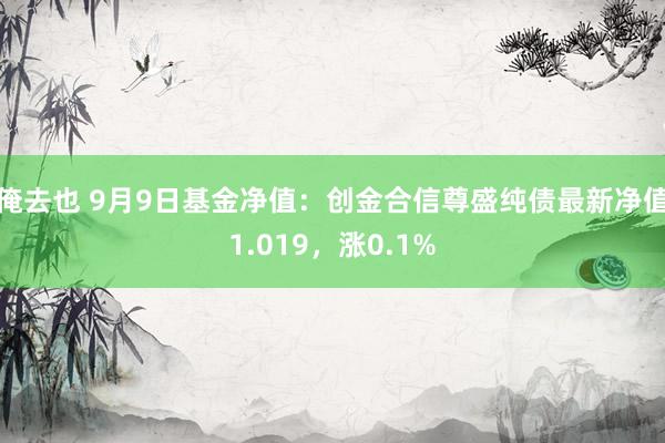 俺去也 9月9日基金净值：创金合信尊盛纯债最新净值1.019，涨0.1%