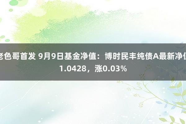 老色哥首发 9月9日基金净值：博时民丰纯债A最新净值1.0428，涨0.03%