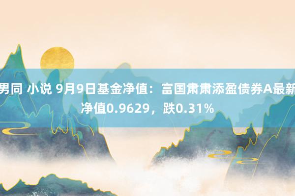 男同 小说 9月9日基金净值：富国肃肃添盈债券A最新净值0.9629，跌0.31%