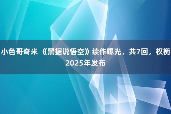 小色哥奇米 《黑据说悟空》续作曝光，共7回，权衡2025年发布