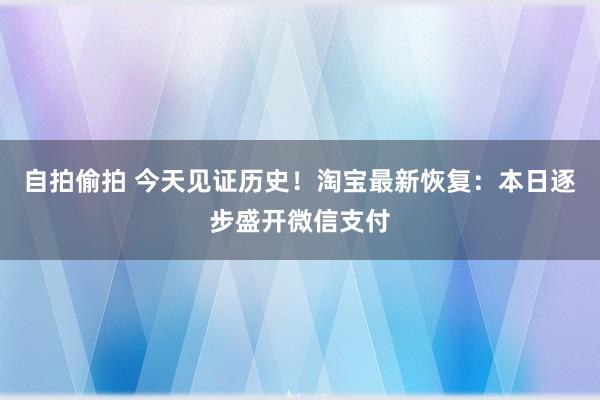 自拍偷拍 今天见证历史！淘宝最新恢复：本日逐步盛开微信支付