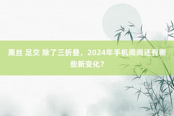 黑丝 足交 除了三折叠，2024年手机阛阓还有哪些新变化？