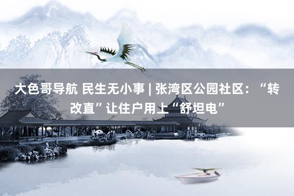 大色哥导航 民生无小事 | 张湾区公园社区：“转改直”让住户用上“舒坦电”