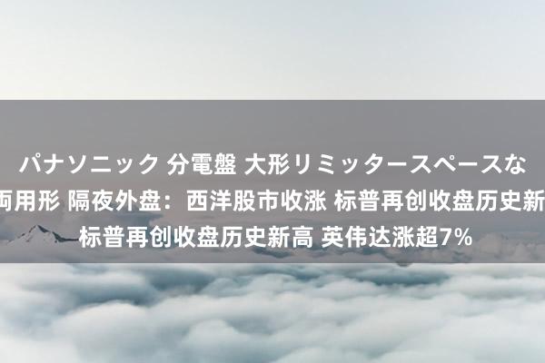 パナソニック 分電盤 大形リミッタースペースなし 露出・半埋込両用形 隔夜外盘：西洋股市收涨 标普再创收盘历史新高 英伟达涨超7%