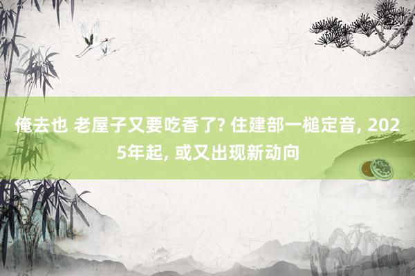 俺去也 老屋子又要吃香了? 住建部一槌定音， 2025年起， 或又出现新动向