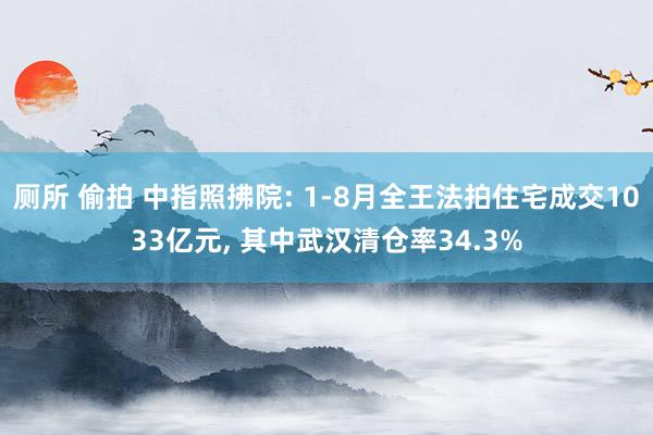 厕所 偷拍 中指照拂院: 1-8月全王法拍住宅成交1033亿元, 其中武汉清仓率34.3%