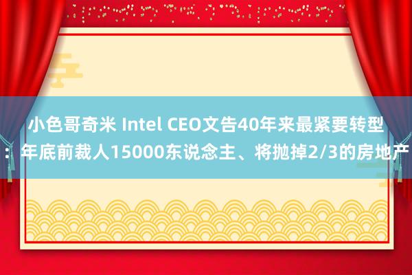 小色哥奇米 Intel CEO文告40年来最紧要转型：年底前裁人15000东说念主、将抛掉2/3的房地产