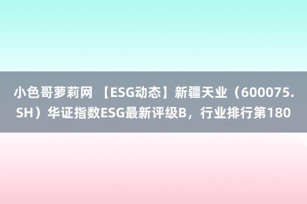 小色哥萝莉网 【ESG动态】新疆天业（600075.SH）华证指数ESG最新评级B，行业排行第180