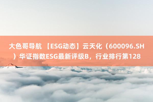 大色哥导航 【ESG动态】云天化（600096.SH）华证指数ESG最新评级B，行业排行第128