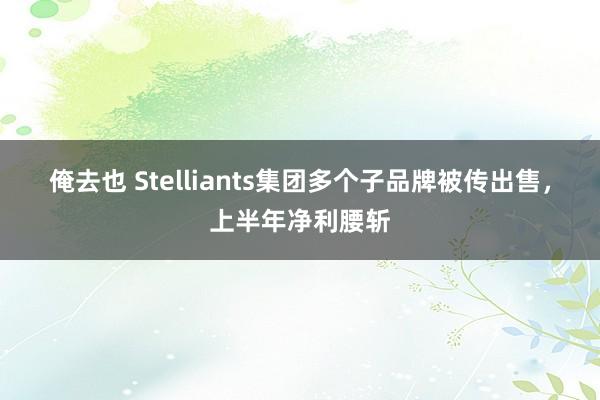 俺去也 Stelliants集团多个子品牌被传出售，上半年净利腰斩