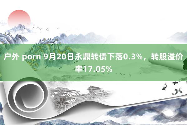 户外 porn 9月20日永鼎转债下落0.3%，转股溢价率17.05%