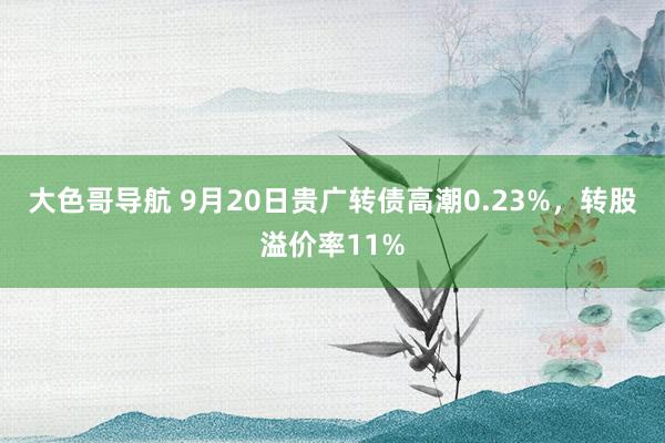 大色哥导航 9月20日贵广转债高潮0.23%，转股溢价率11%