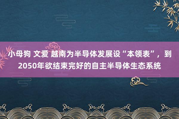 小母狗 文爱 越南为半导体发展设“本领表”，到2050年欲结束完好的自主半导体生态系统