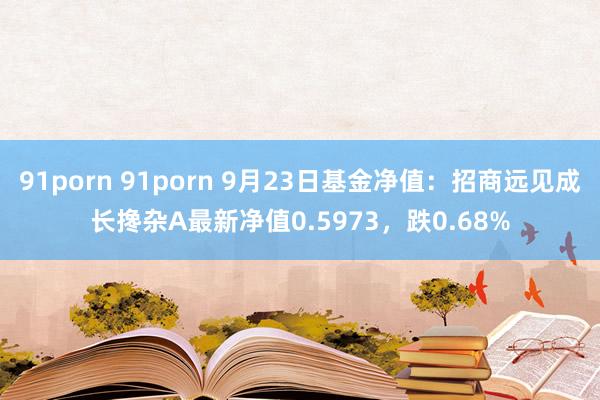 91porn 91porn 9月23日基金净值：招商远见成长搀杂A最新净值0.5973，跌0.68%