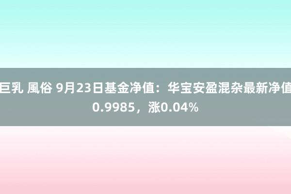 巨乳 風俗 9月23日基金净值：华宝安盈混杂最新净值0.9985，涨0.04%