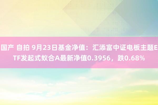 国产 自拍 9月23日基金净值：汇添富中证电板主题ETF发起式蚁合A最新净值0.3956，跌0.68%