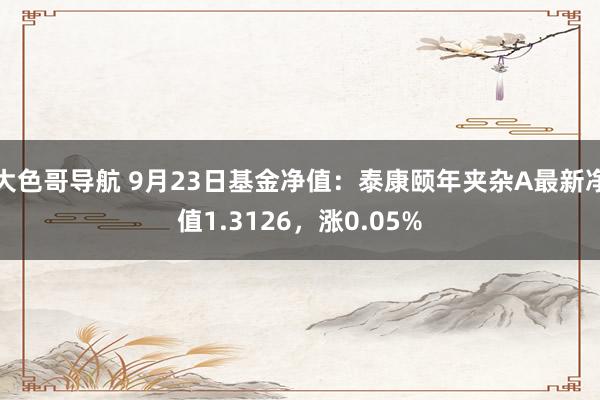 大色哥导航 9月23日基金净值：泰康颐年夹杂A最新净值1.3126，涨0.05%