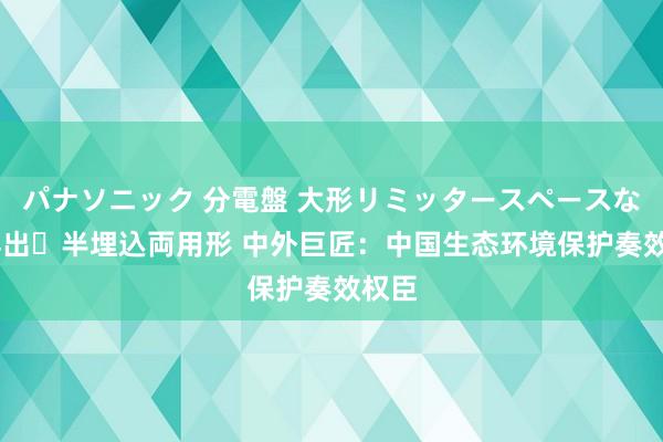 パナソニック 分電盤 大形リミッタースペースなし 露出・半埋込両用形 中外巨匠：中国生态环境保护奏效权臣