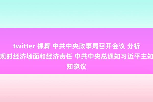 twitter 裸舞 中共中央政事局召开会议 分析扣问现时经济场面和经济责任 中共中央总通知习近平主知晓议