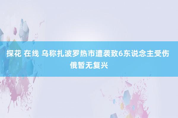 探花 在线 乌称扎波罗热市遭袭致6东说念主受伤 俄暂无复兴