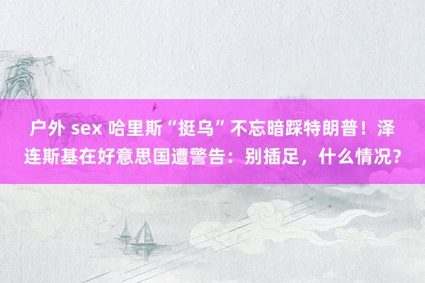 户外 sex 哈里斯“挺乌”不忘暗踩特朗普！泽连斯基在好意思国遭警告：别插足，什么情况？