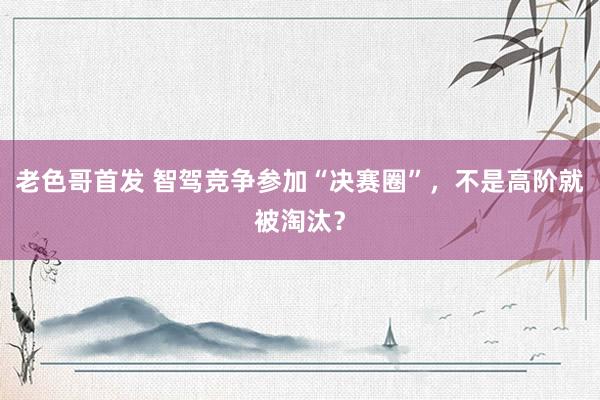 老色哥首发 智驾竞争参加“决赛圈”，不是高阶就被淘汰？