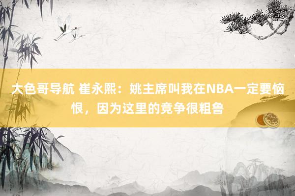 大色哥导航 崔永熙：姚主席叫我在NBA一定要恼恨，因为这里的竞争很粗鲁