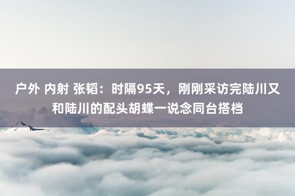 户外 内射 张韬：时隔95天，刚刚采访完陆川又和陆川的配头胡蝶一说念同台搭档