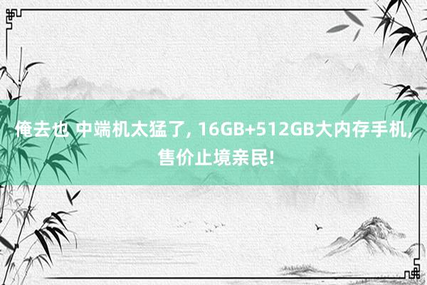 俺去也 中端机太猛了， 16GB+512GB大内存手机， 售价止境亲民!