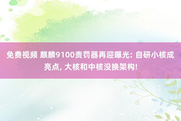 免费视频 麒麟9100责罚器再迎曝光: 自研小核成亮点， 大核和中核没换架构!