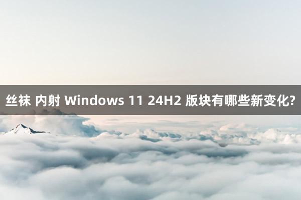 丝袜 内射 Windows 11 24H2 版块有哪些新变化?