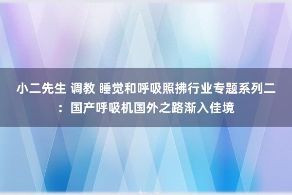 小二先生 调教 睡觉和呼吸照拂行业专题系列二：国产呼吸机国外之路渐入佳境