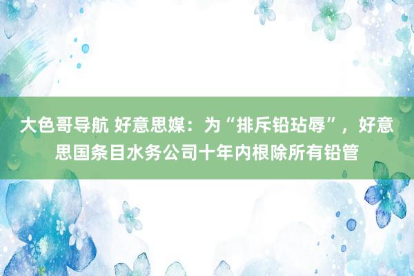 大色哥导航 好意思媒：为“排斥铅玷辱”，好意思国条目水务公司十年内根除所有铅管