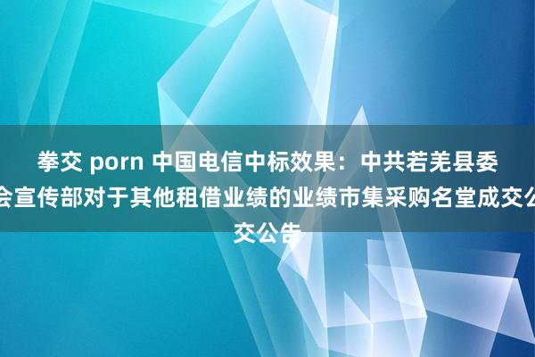 拳交 porn 中国电信中标效果：中共若羌县委员会宣传部对于其他租借业绩的业绩市集采购名堂成交公告