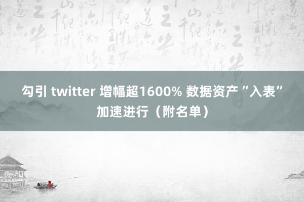 勾引 twitter 增幅超1600% 数据资产“入表”加速进行（附名单）