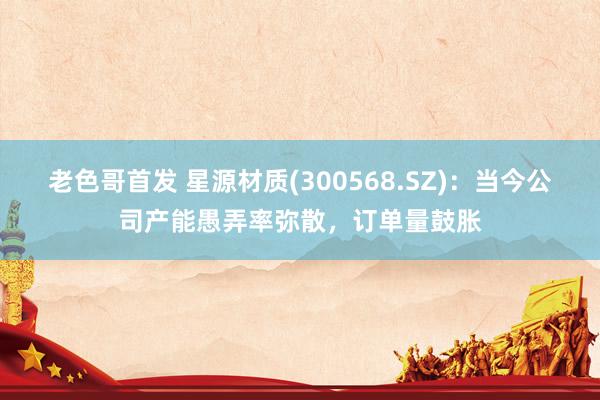 老色哥首发 星源材质(300568.SZ)：当今公司产能愚弄率弥散，订单量鼓胀