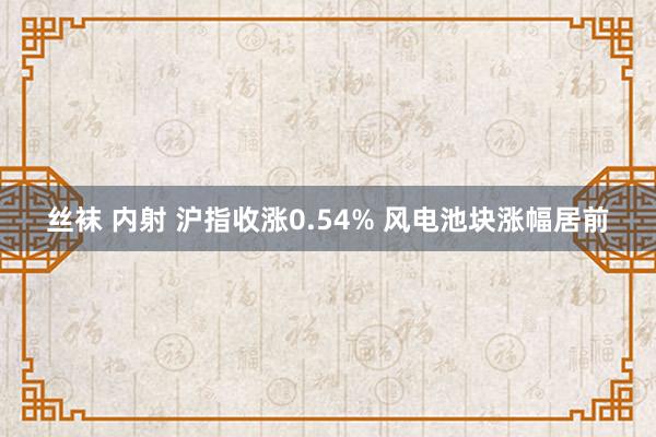 丝袜 内射 沪指收涨0.54% 风电池块涨幅居前