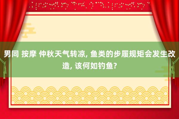 男同 按摩 仲秋天气转凉, 鱼类的步履规矩会发生改造, 该何如钓鱼?