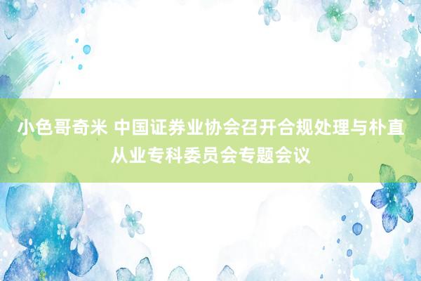 小色哥奇米 中国证券业协会召开合规处理与朴直从业专科委员会专题会议