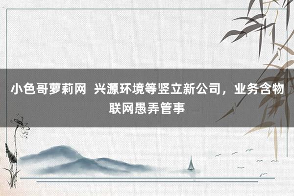 小色哥萝莉网  兴源环境等竖立新公司，业务含物联网愚弄管事