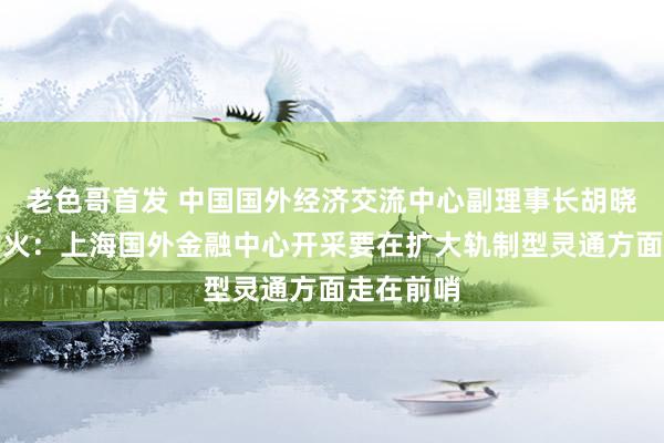 老色哥首发 中国国外经济交流中心副理事长胡晓真金不怕火：上海国外金融中心开采要在扩大轨制型灵通方面走在前哨