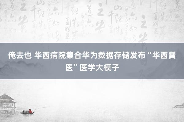 俺去也 华西病院集合华为数据存储发布“华西黉医”医学大模子