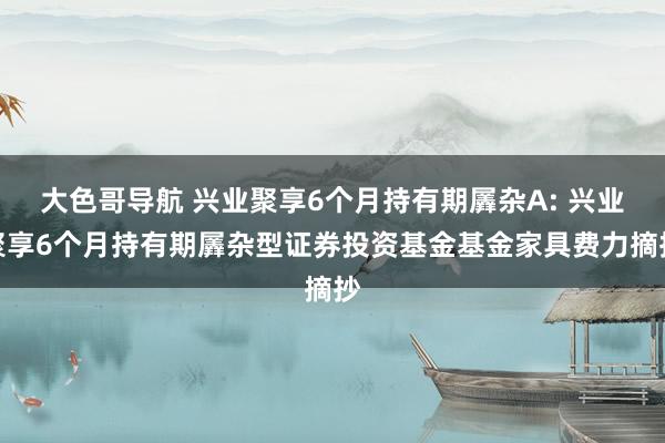 大色哥导航 兴业聚享6个月持有期羼杂A: 兴业聚享6个月持有期羼杂型证券投资基金基金家具费力摘抄