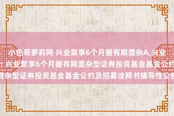 小色哥萝莉网 兴业聚享6个月握有期混杂A，兴业聚享6个月握有期混杂C: 兴业聚享6个月握有期混杂型证券投资基金基金公约及招募诠释书辅导性公告