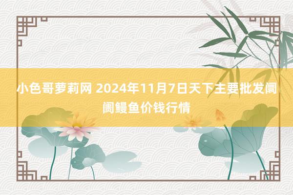 小色哥萝莉网 2024年11月7日天下主要批发阛阓鳗鱼价钱行情