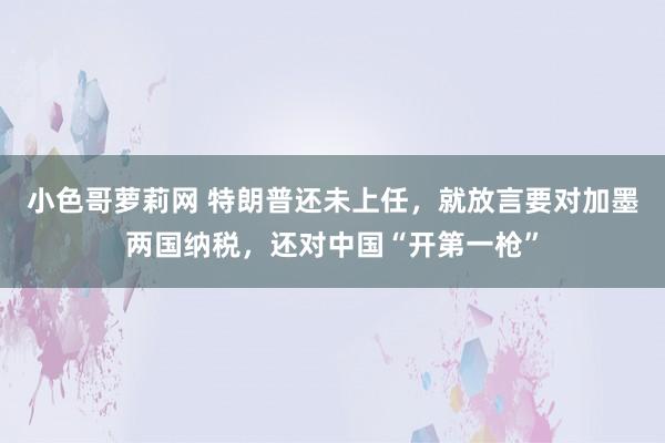 小色哥萝莉网 特朗普还未上任，就放言要对加墨两国纳税，还对中国“开第一枪”