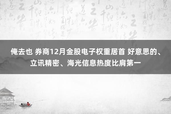 俺去也 券商12月金股电子权重居首 好意思的、立讯精密、海光信息热度比肩第一