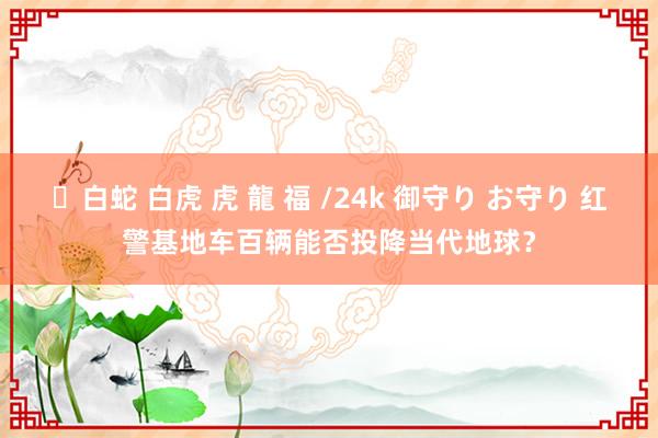 ✨白蛇 白虎 虎 龍 福 /24k 御守り お守り 红警基地车百辆能否投降当代地球？