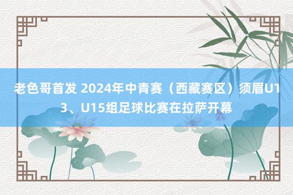 老色哥首发 2024年中青赛（西藏赛区）须眉U13、U15组足球比赛在拉萨开幕